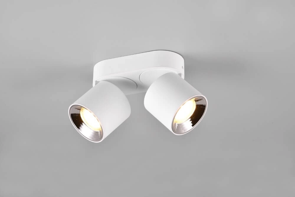 Plafonnier Guayana 2 lumières blanc Trio 4017807573954