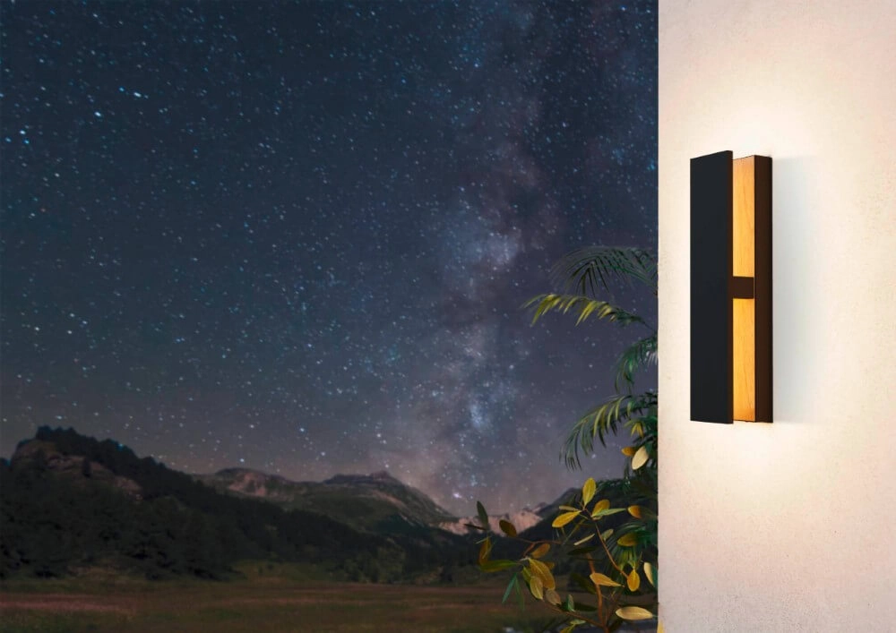 Lampe d'extérieur Costorio Noir avec du bois Eglo 9008606231638