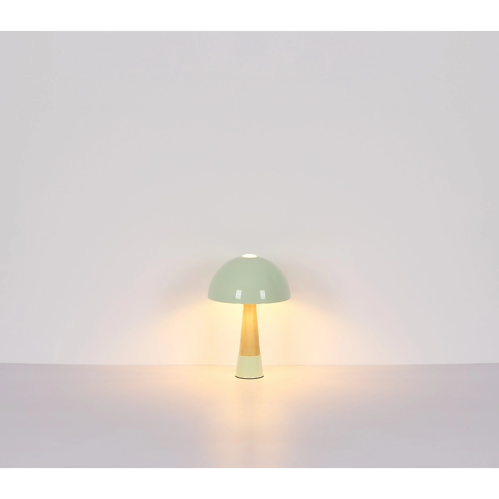 Lampe de table unique Paulin Ø 25cm vert Globo 9007371513802
