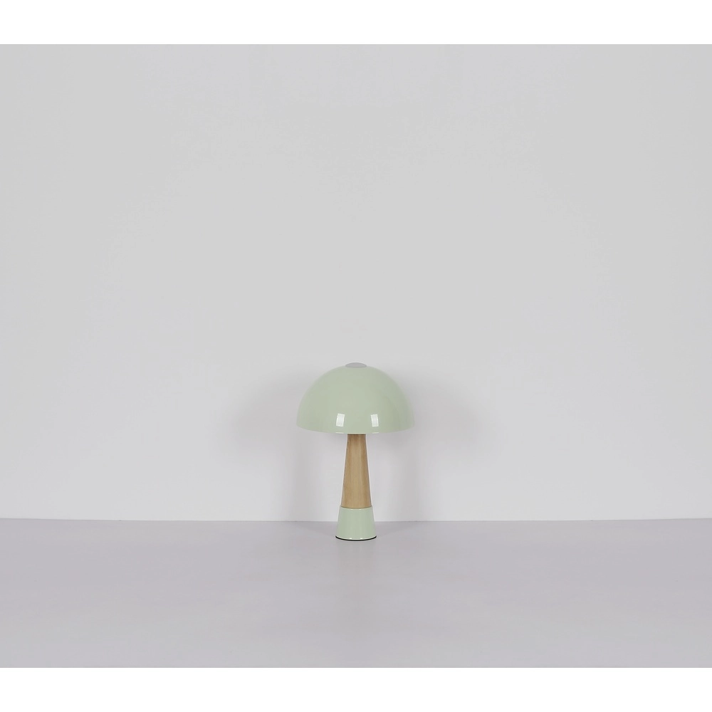 Lampe de table unique Paulin Ø 25cm vert Globo 9007371513802