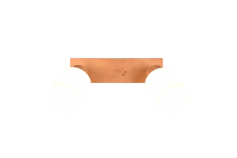 Spot de plafond rural Assam 2 lumières Trio 4017807539790