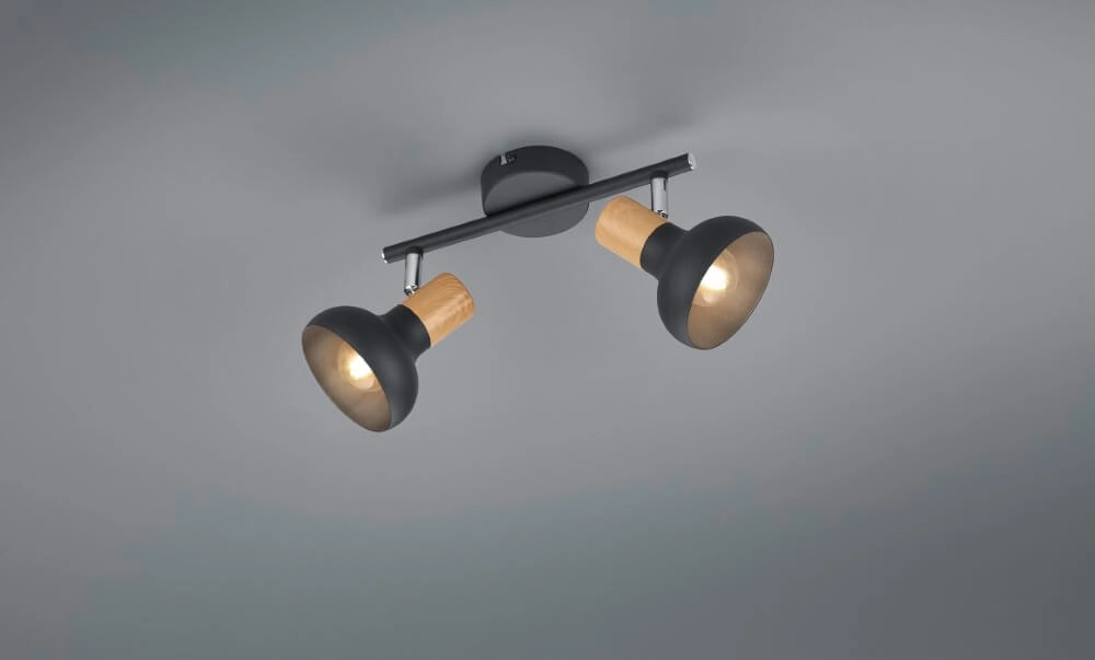 Plafonnier Latika 2 lumières noir Trio 4017807576986