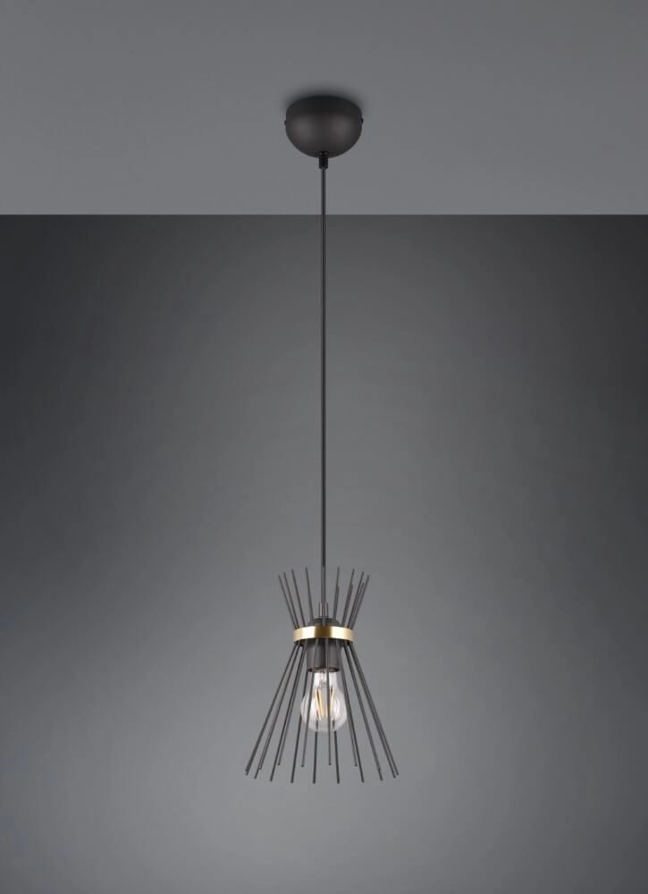 Lampe suspendue Rod conception noir Trio 4017807576788