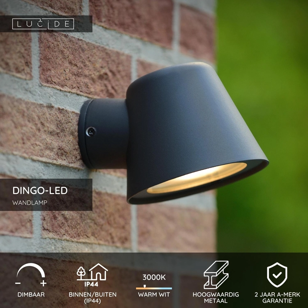 Projecteur mural Dingo-Led Anthracite IP44 Lucide 5411212143815