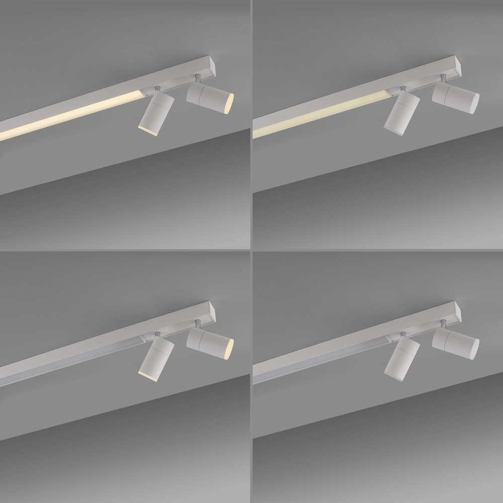 Emplacement monté en surface au plafond Pure Lines Spot 110 cm - blanc Paul Neuhaus 4012248395837