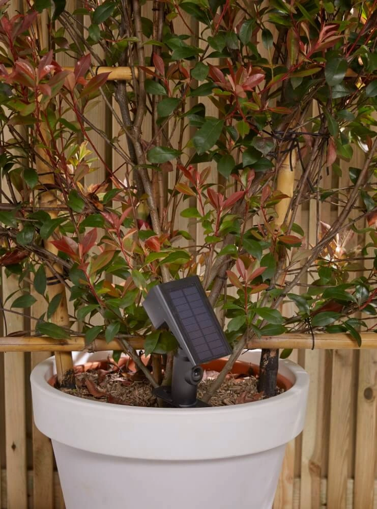 Lampe solaire LED Rosario avec capteur Luxform 8719099230299