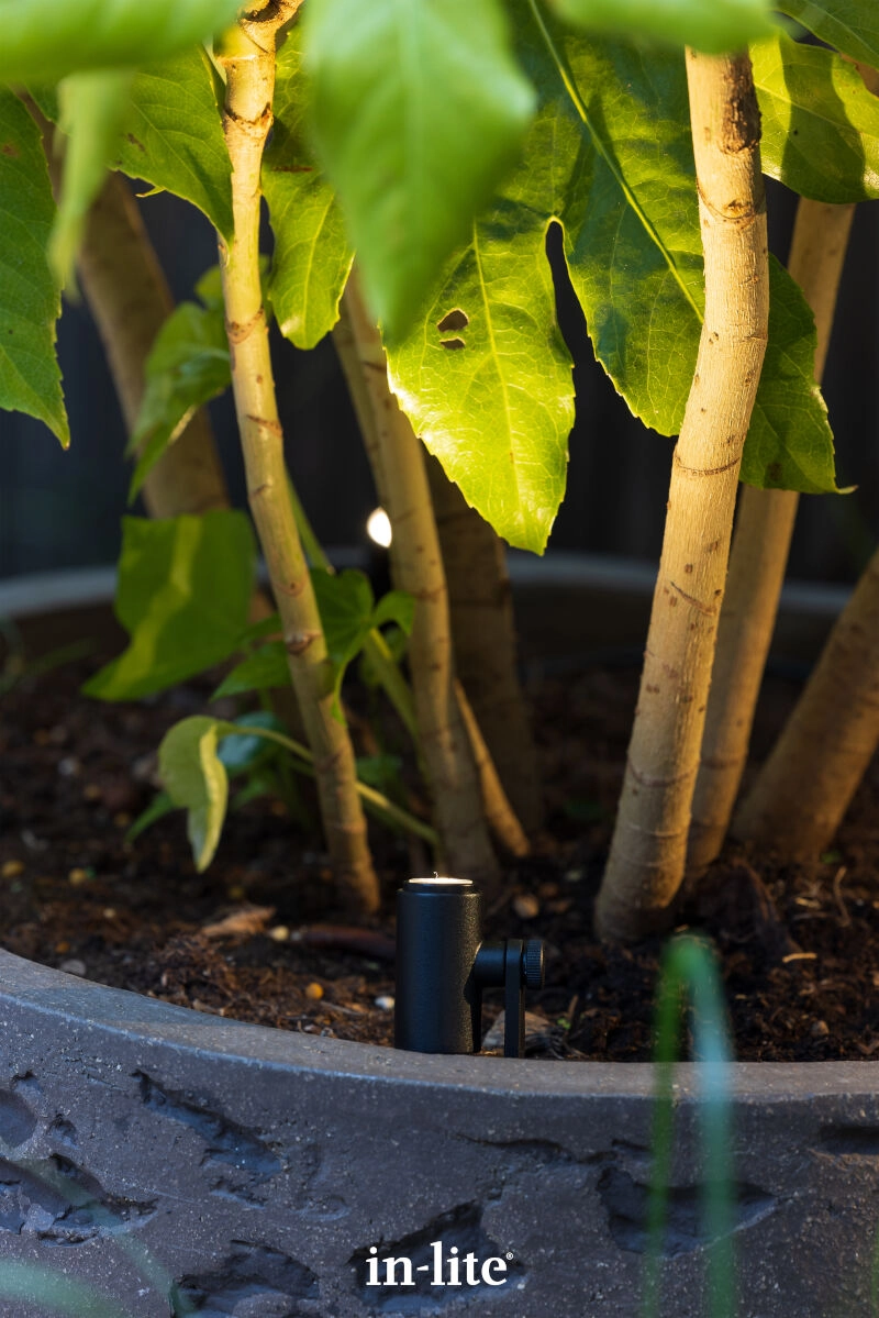 Spot Micro Scope 12 volts In-lite 8717051006579