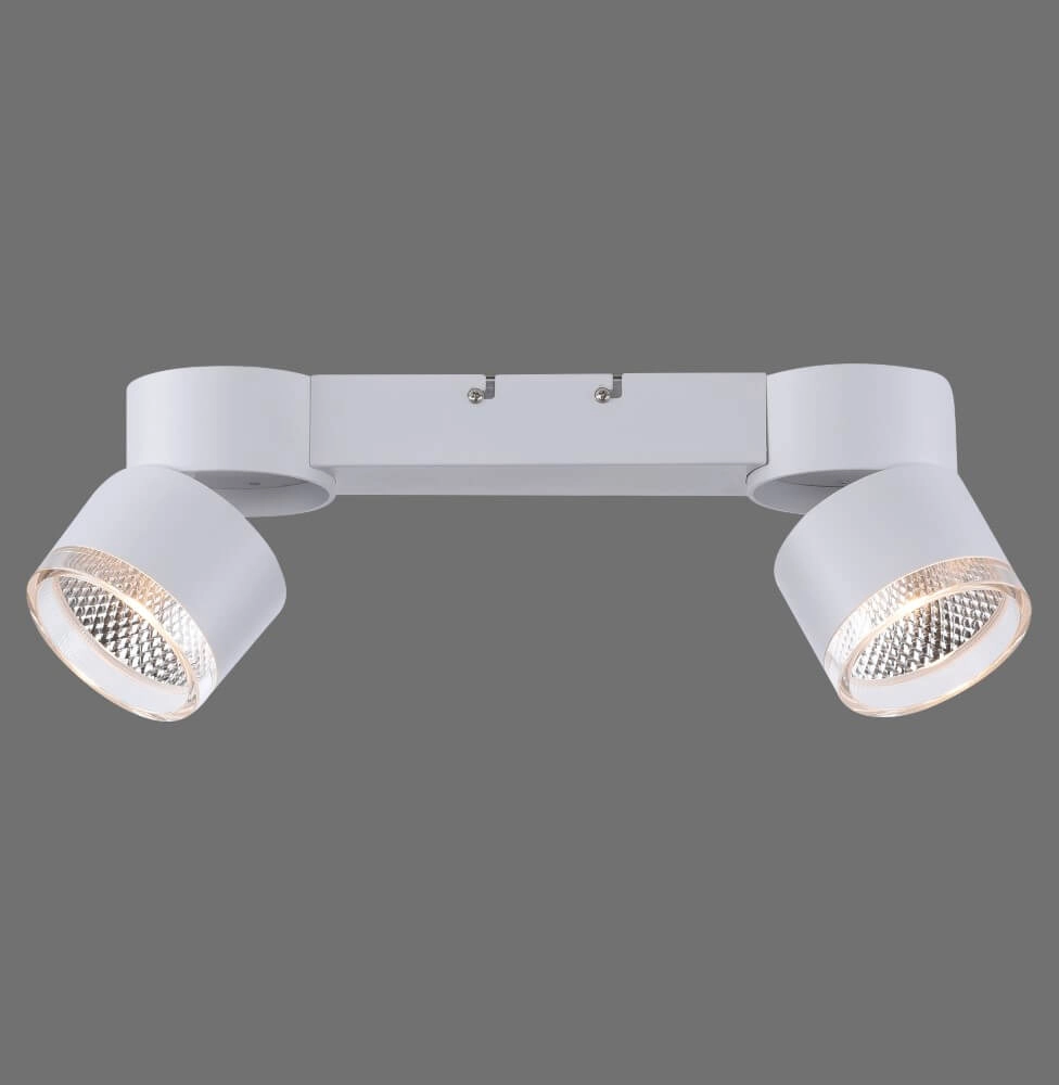 Plafonnier blanc Pure Nola 2 lumières Paul Neuhaus 4012248374542