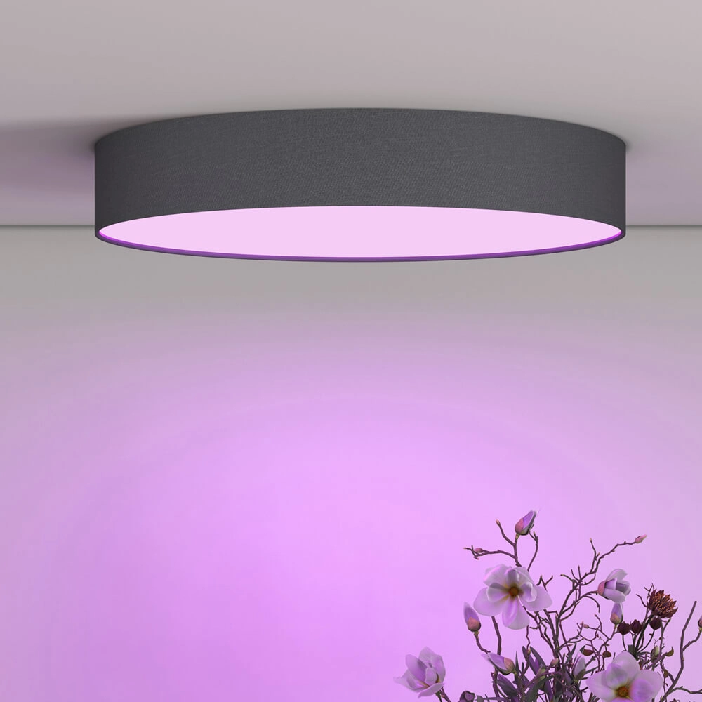 Plafonnier intelligent Smart Ceily Ø 30 cm Circle 8712879151081