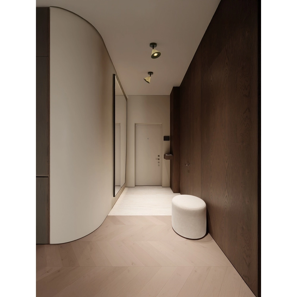 Plafonnier Conico noir avec or Lyora 5212017475350