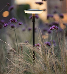 Les luminaires in-lite