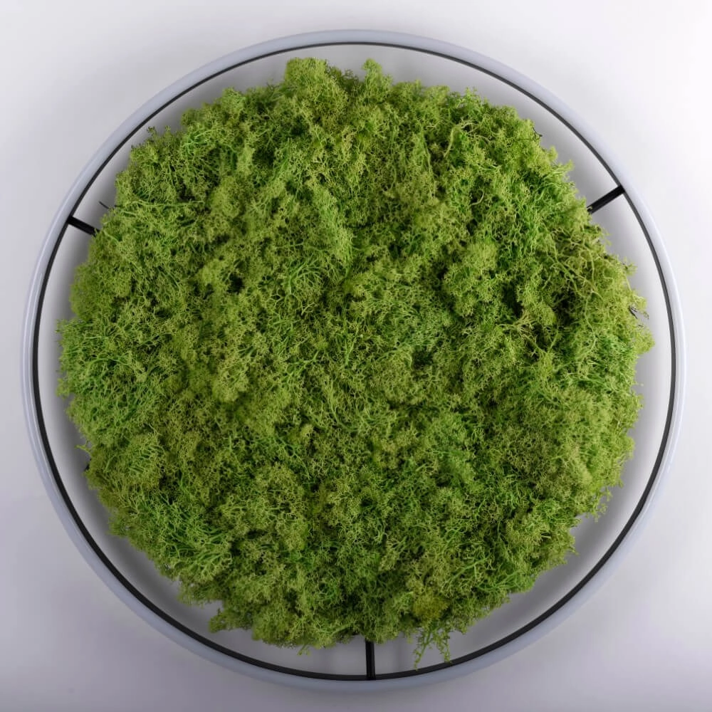 Plafonnier Green Ritus avec mousse Ø 58,5cm Just Light 4043689994808