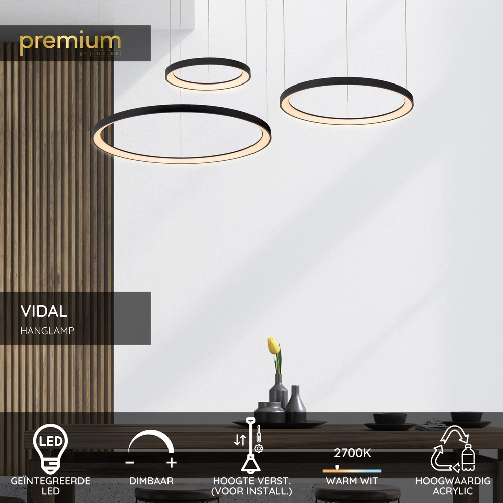 Lampe pendante noire Vidal Conception Premium by Lucide 5411212460950
