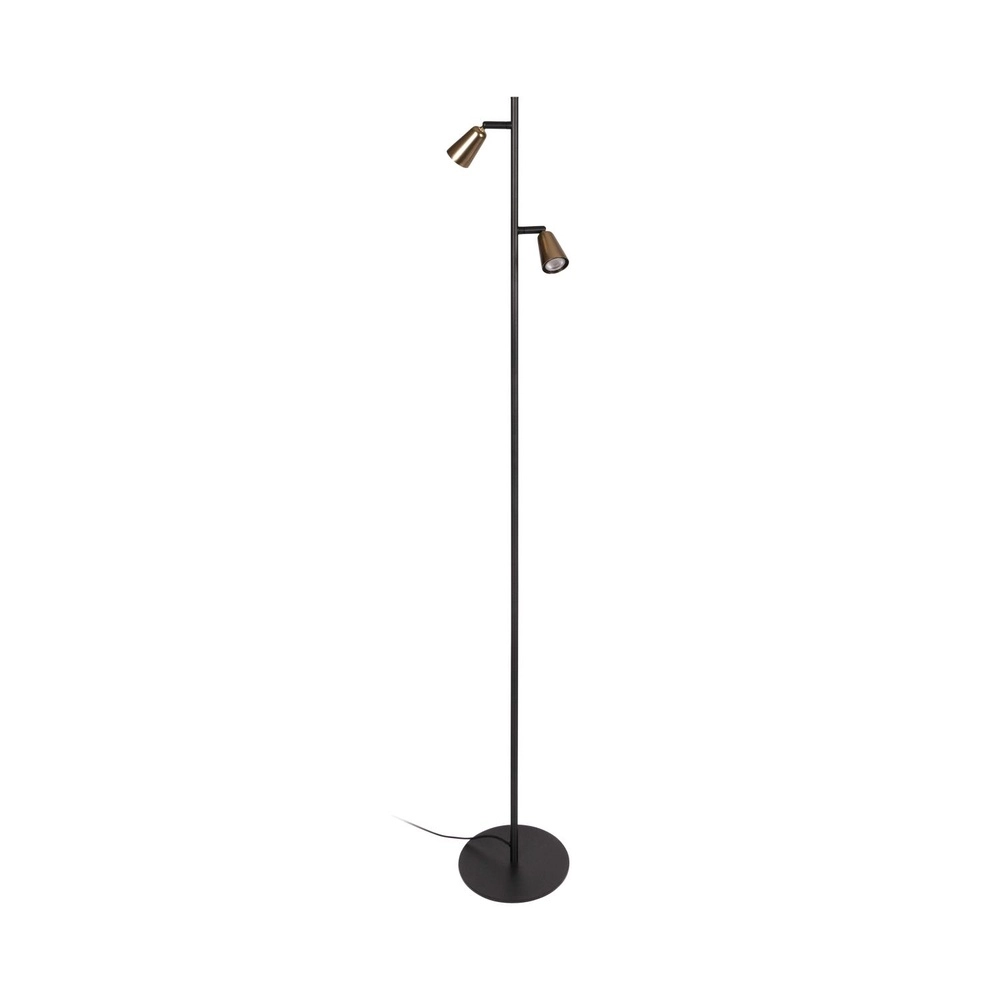 Lampe de lecture de conception Tiana Champagne