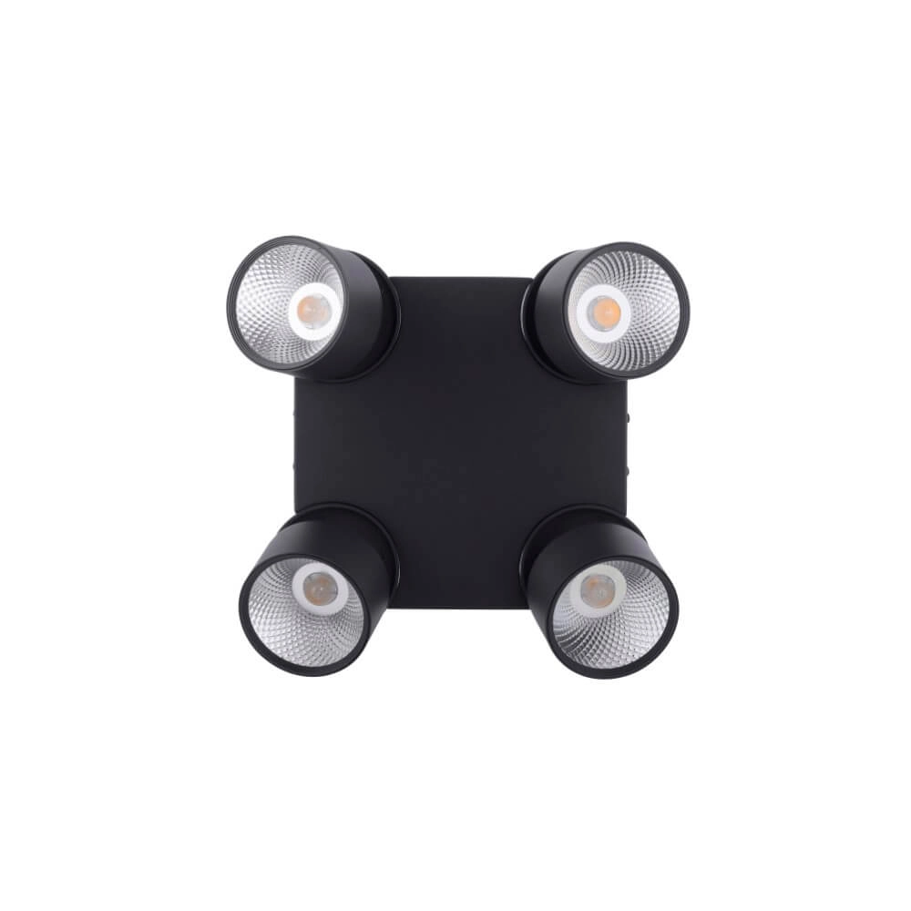 Plafonnier Pure Nola 4 lumières noir Paul Neuhaus 4012248372012