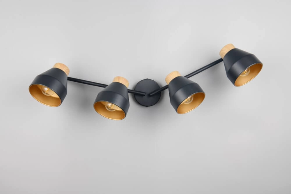 Plafonnier design 4 lumières Valentin noir Trio 4017807637434