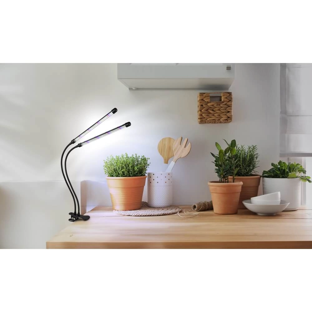 Lampe à pince Treena Lumière de croissance pour les plantes Globo 9007371447138