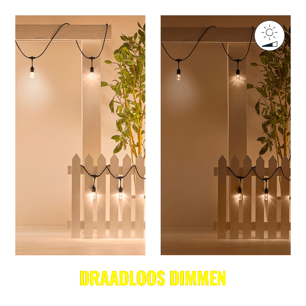 String Lights avec 12 lumières d'ambiance intelligentes WiZ 8719514554450