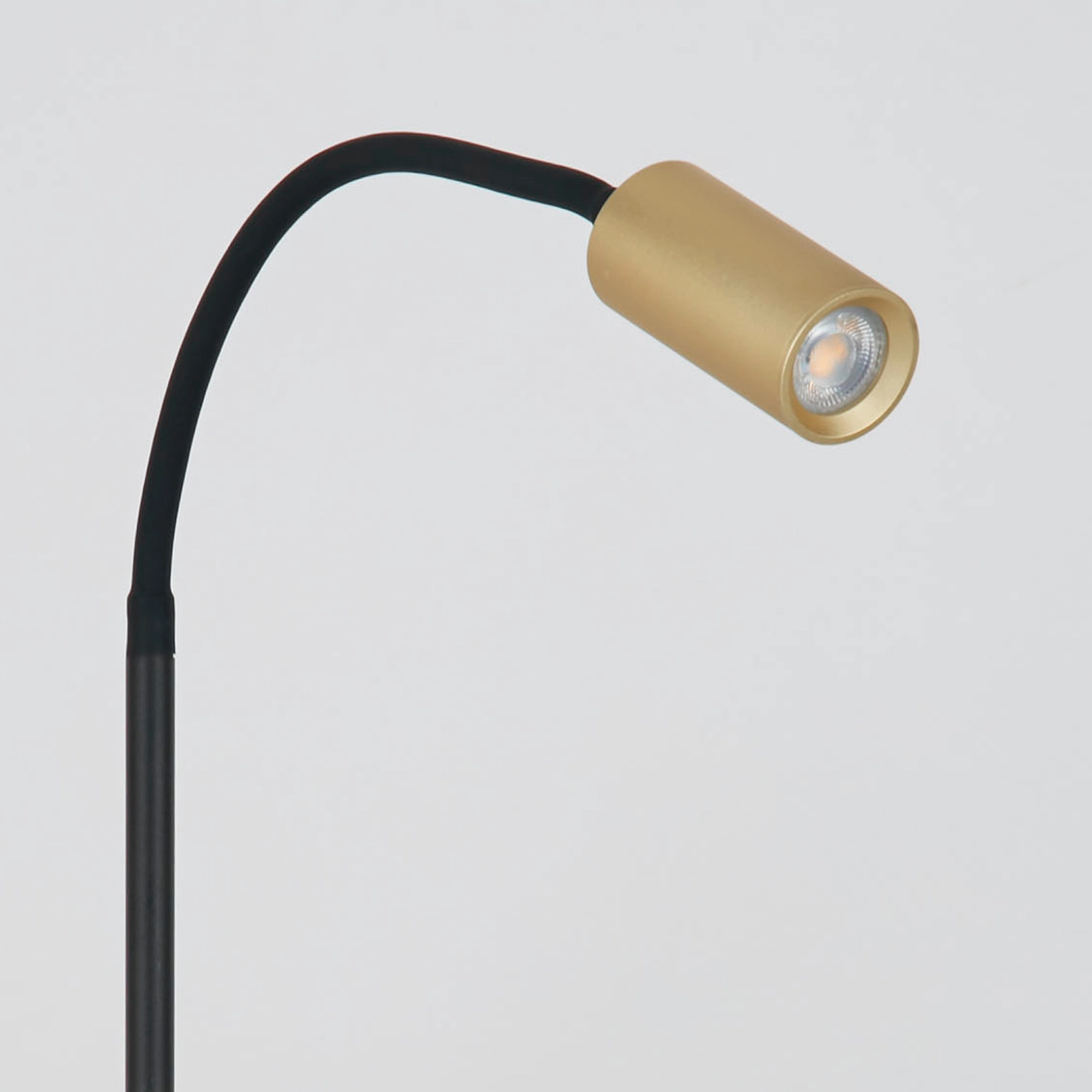 Lampe de table Ciara Or Lyora 5053423316437