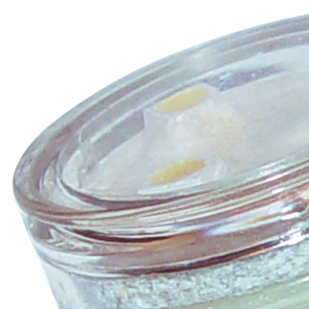 Source de lumière 12V - 0,5W - G5.3 - 6000K GardenLights 5907800852417