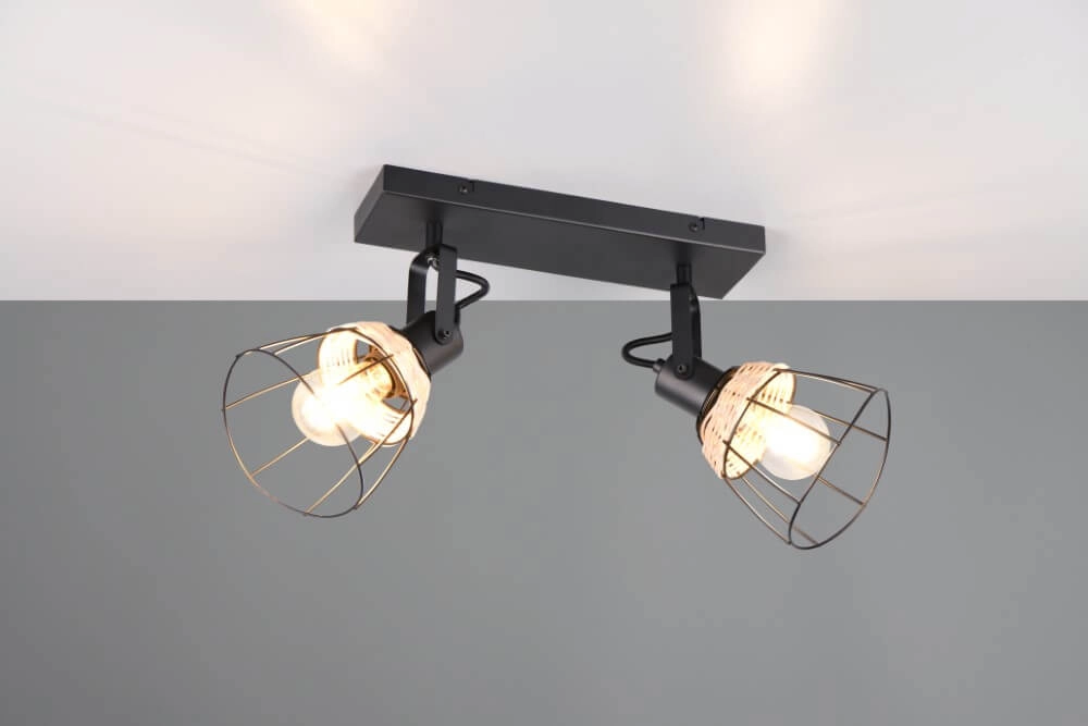 Plafonnier noir Jerome Design 2-lumière Trio 4017807637700