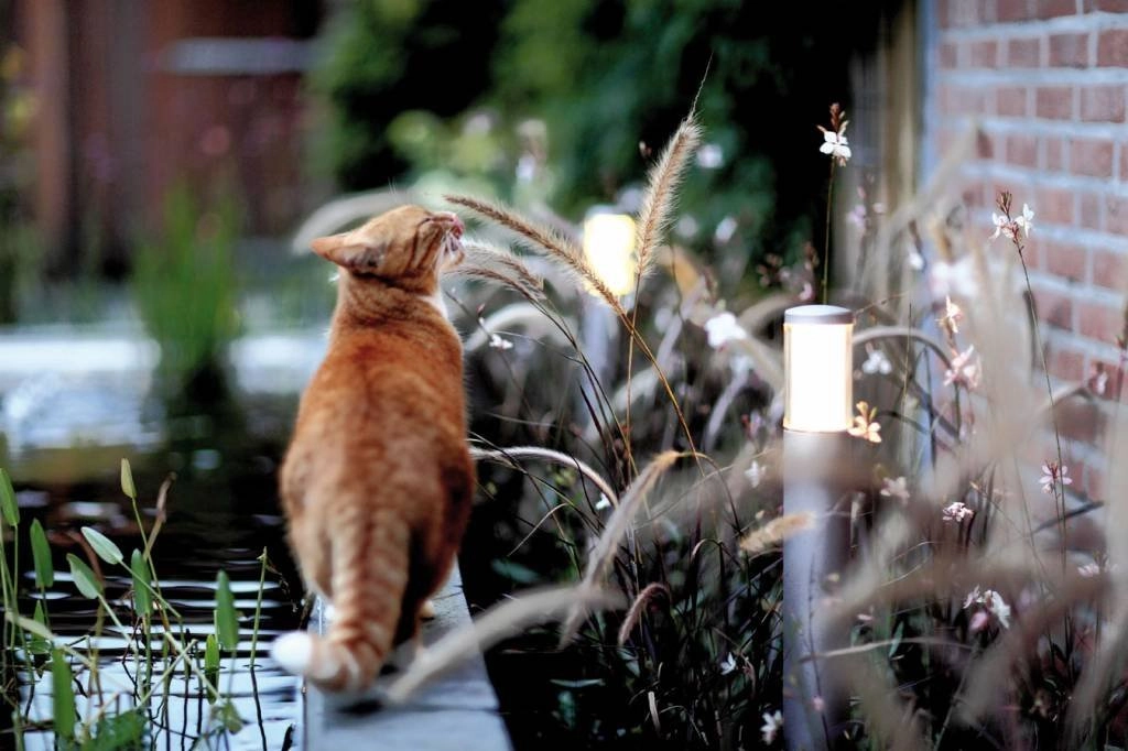 Lampe de jardin Liv LED 12 volts In-lite 8717051004445