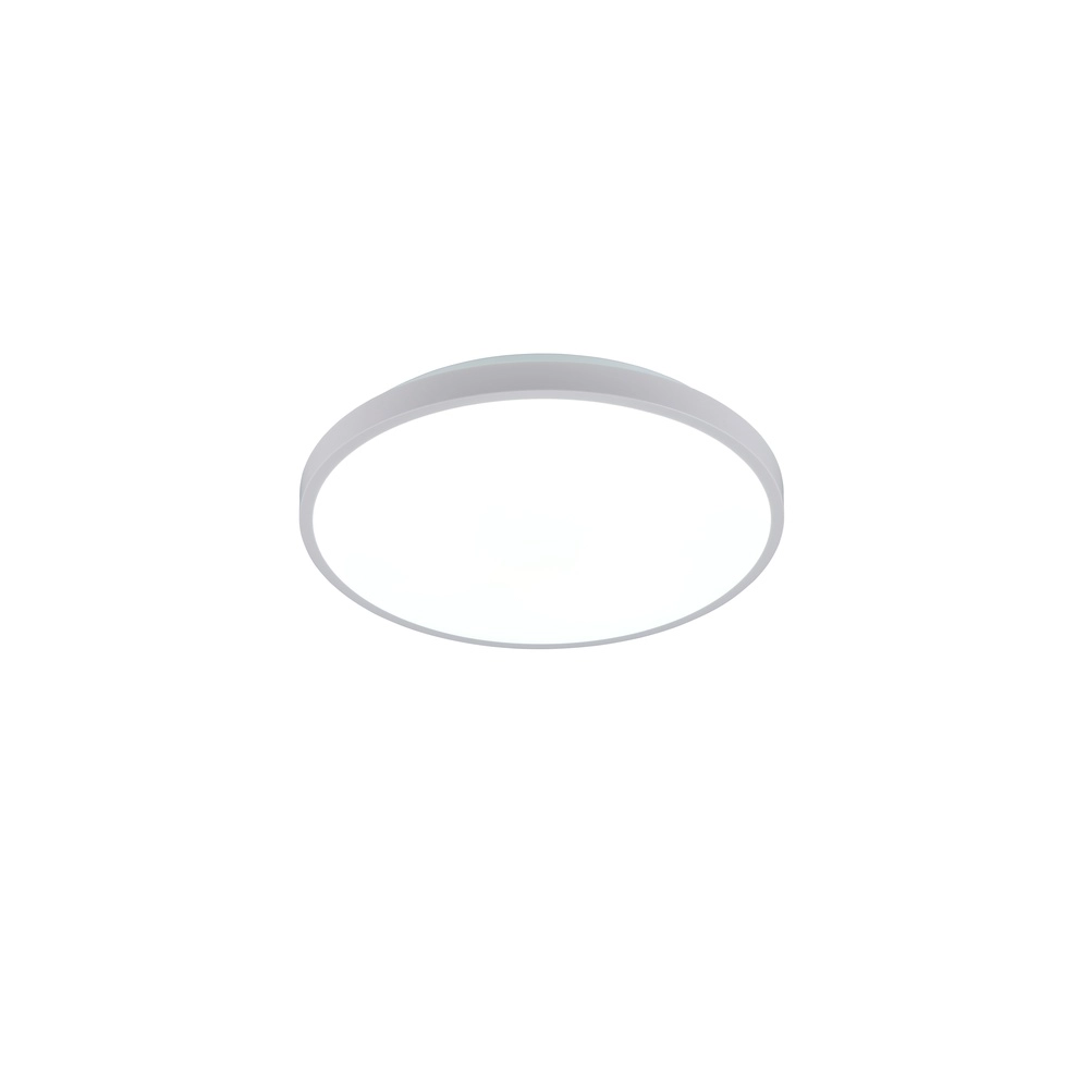 Éclairage de plafond Slope Blanc Trio 4017807668629
