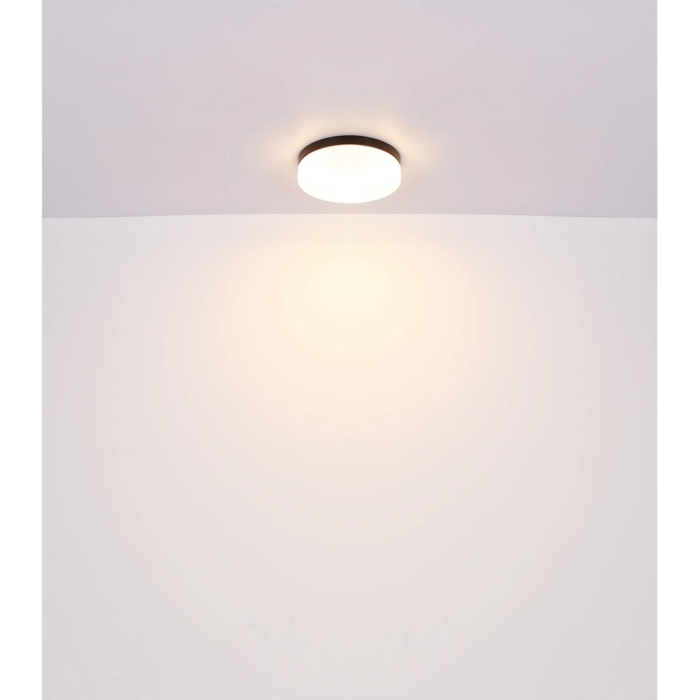 Conception de plafonds Vranos noir pour usage extérieur Ø 18,4 cm Globo 9007371434763