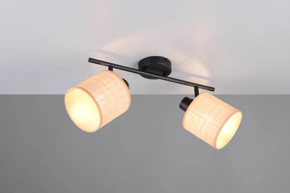 Plafonnier 2 lumières Aimee avec des bouchons de crème Trio 4017807637342