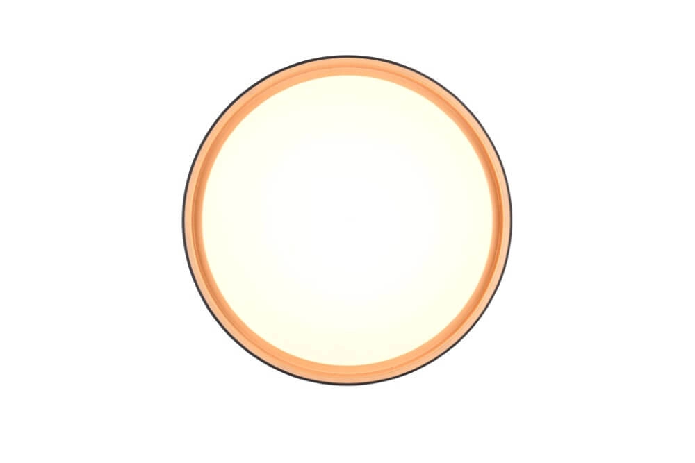 Plafonnier Felis noir avec de l'or Trio 4017807604030