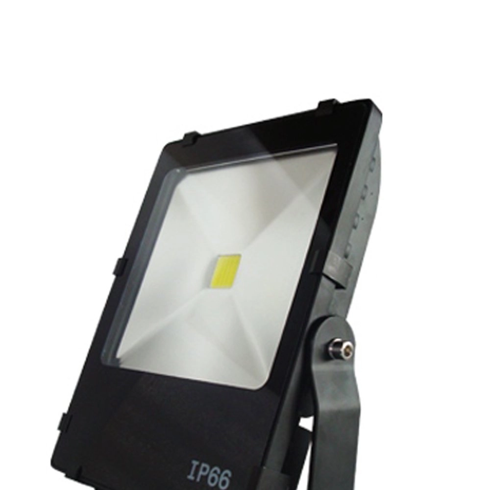 Spot LED Floodlight Franssen 8717064119686