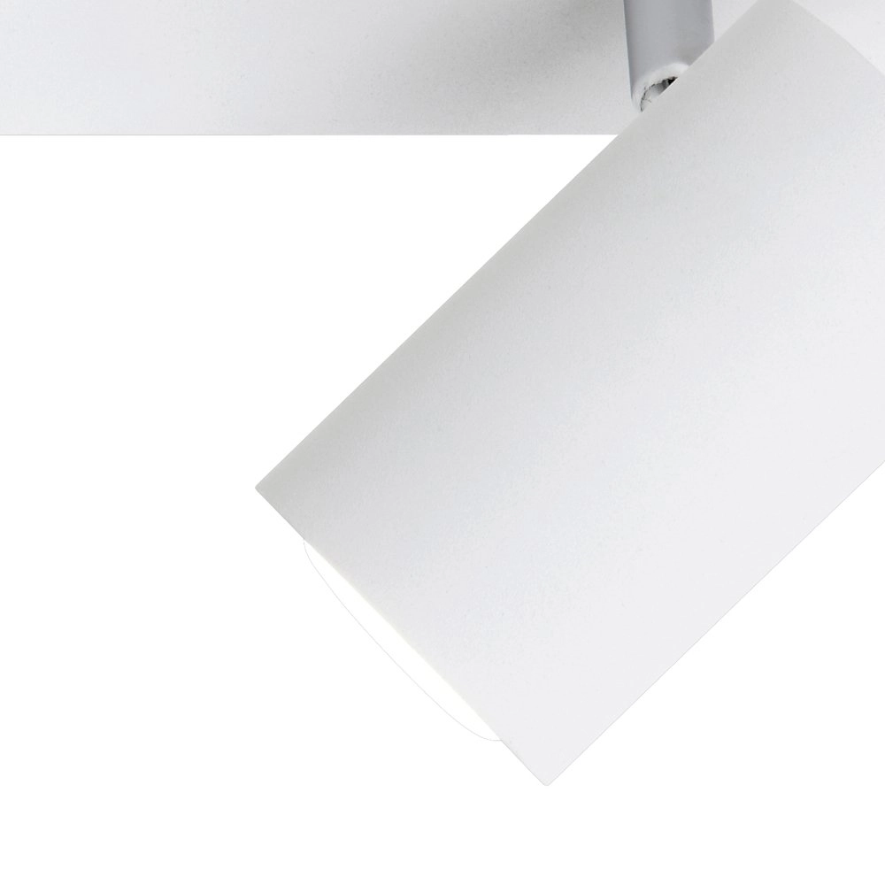 Spot de plafond Series 8024 2 lumières blanc Trio 4017807227550