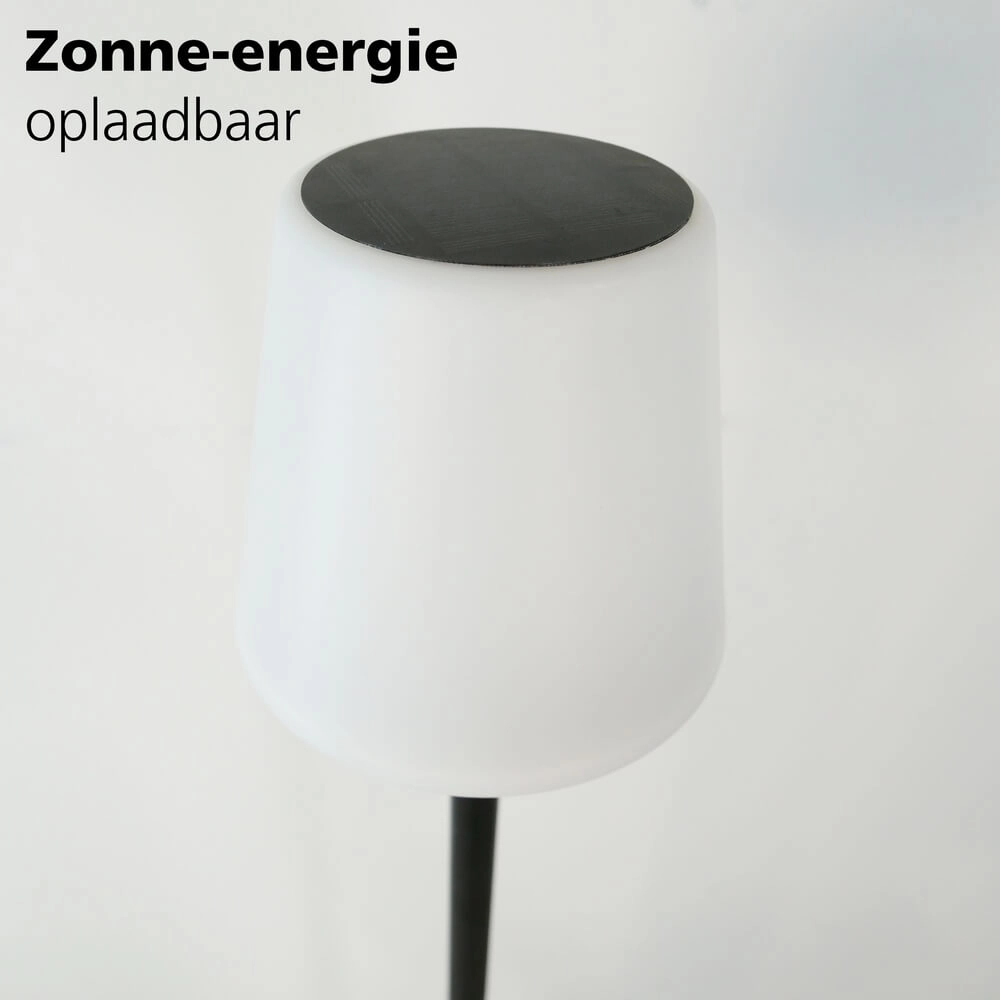 Lampe de terrasse design Montapalma Noir avec cône blanc Eglo 9002759758882